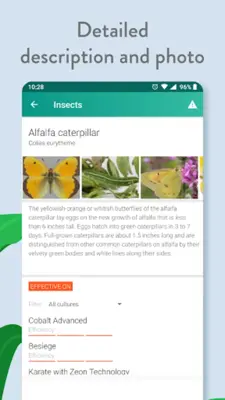 Agrobase - weed, disease, insect android App screenshot 3